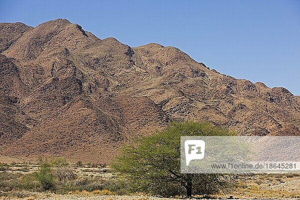 Wüste im Namib-Naukluft Park  Namibia  Afrika