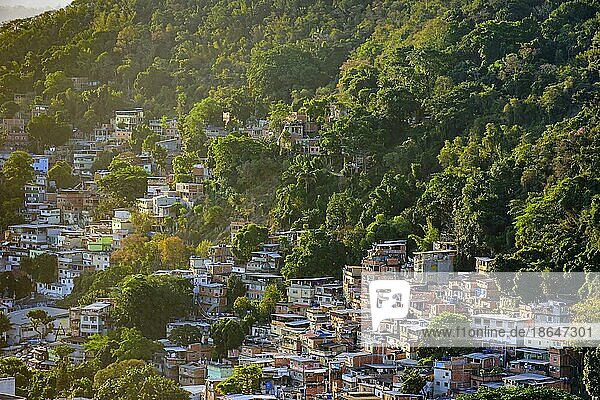 Slum zwischen der Vegetation an den Hängen der Hügel im Stadtteil Copacabana in Rio de Janeiro  Favela Chapeu Mangueira  Rio de Janeiro  Rio de Janeiro  Brasilien  Südamerika
