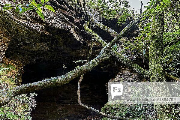 Cave entrance amid the rocks and vegetation of the rainforest in Carrancas state of Minas Gerais  Brazil  Brasil  South America