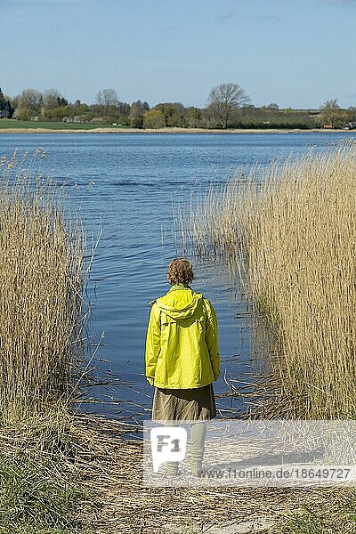 Frau steht am Ufer der Schlei  Schilf  Sieseby  Schleswig-Holstein  Deutschland  Europa