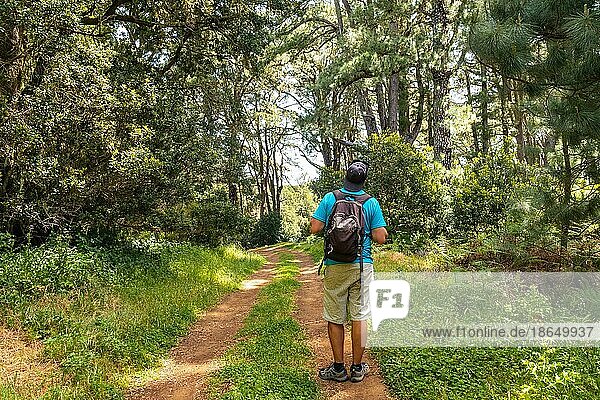 Ein junger Mann auf einem Naturlehrpfad in La Llania auf El Hierro  Kanarische Inseln. üppig grüne Landschaft
