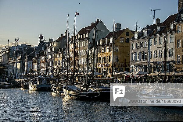Nyhavn mit Fischerbooten  bunten Häusern und Abendsonne  Kopenhagen  Dänemark  Europa