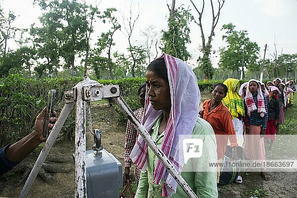 BOKAKHAT  INDIEN  4. MAI: Frauen  die auf einer Teeplantage arbeiten  stehen Schlange  um ihre gepflückten Blätter abzulegen  in Bokakhat  Indien  am 4. Mai 2023  Asien