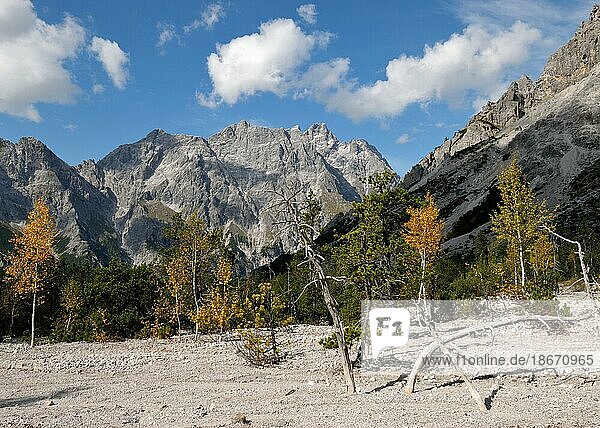 Herbst im Wimbachgries mit Blick auf den Hochkalter  Nationalpark Berchtesgaden  Bayern  Deutschland  Europa