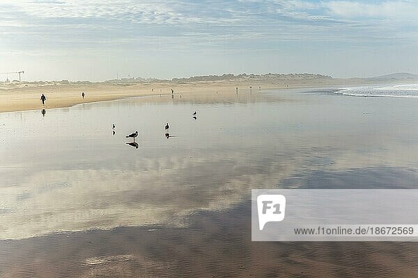Reflection of clouds in wet sand on beach people walking  Essaouira  Morocco  north Africa  Africa