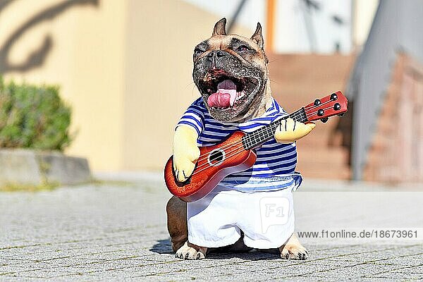 Französische Bulldogge mit weit aufgerissenem Maul  als ob sie singen würde  verkleidet als Straßenmusiker  der ein Kostüm mit gestreiftem Hemd und falschen Armen trägt und eine Spielzeuggitarre hält  in einer Stadt stehend