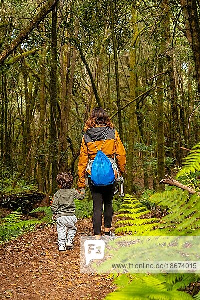 Mother and son walking through Las Creces trail in the mossy tree forest of Garajonay National Park  La Gomera  Canary Islands