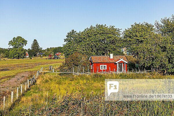 Rotes idyllisches Ferienhaus auf dem Lande am Hornborga See in Schweden