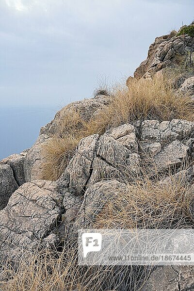 Steilküste von Maro Cerro Gordo  Nerja  Spanien  Europa