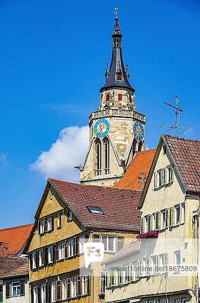 Turm der Stiftskirche und Teile der historischen Häuserfront am Neckar  Tübingen  Baden-Württemberg  Deutschland  Europa