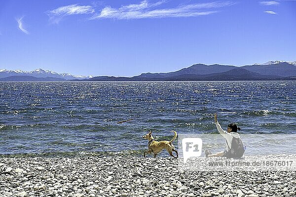 Eine junge Frau spielt mit ihrem Hund im See. Wirft dem Hund einen Stock zu