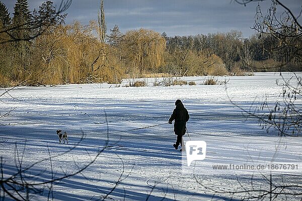 A woman walks her dog across the ice on the frozen Hermsdorfer See lake in Berlin Reinickendorf. Berlin  13.02.2021  Berlin  Germany  Europe