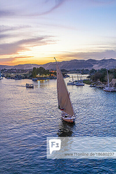 Feluccas on The River Nile at sunset  Aswan  Egypt  North Africa  Africa