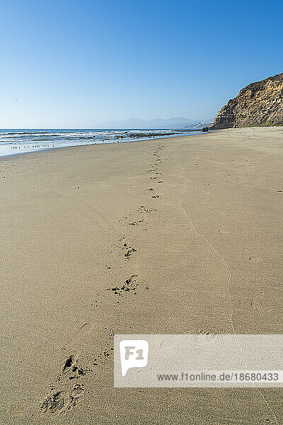 Footprints in sand at Quirilluca beach  Puchuncavi  Valparaiso Province  Valparaiso Region  Chile  South America