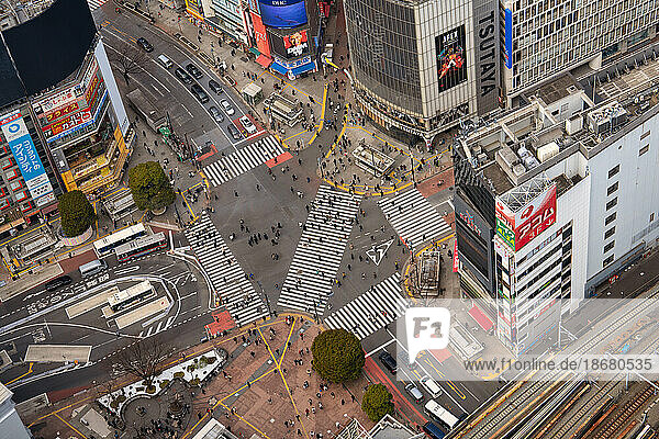 Aerial view of Shibuya crossing  Tokyo  Honshu  Japan  Asia