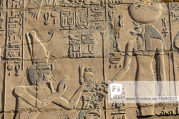 Stone Carvings and Hieroglyphs at Karnak Temple  Luxor  Thebes  UNESCO World Heritage Site  Egypt  North Africa  Africa