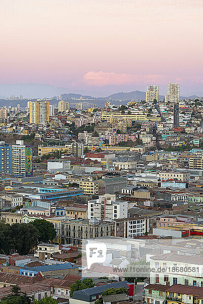 Elevated view of houses in city center at dusk  Valparaiso  Valparaiso Province  Valparaiso Region  Chile  South America