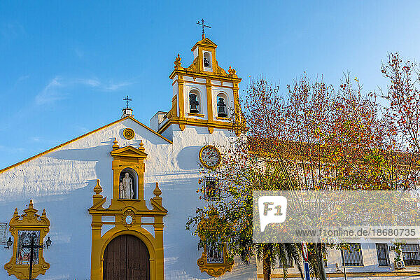 The Church of San Jose and Espiritu Santo  Cordoba  Andalusia  Spain  Europe