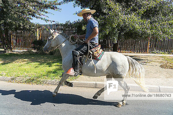 Huaso riding horse on street on sunny day  Colina  Chacabuco Province  Santiago Metropolitan Region  Chile  South America