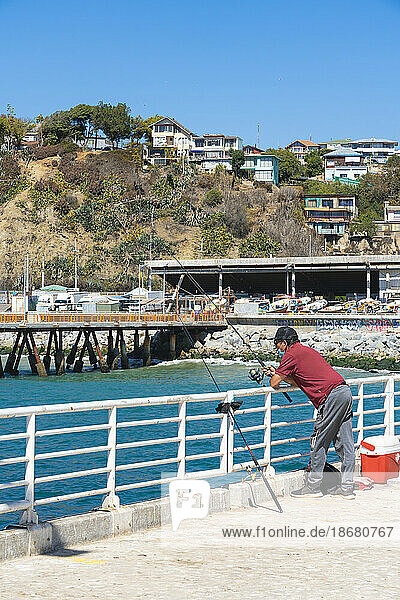 Fisherman fishing at pier  Caleta Portales  Valparaiso  Valparaiso Province  Valparaiso Region  Chile  South America