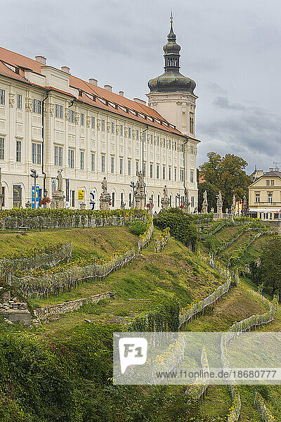 Central Bohemian Gallery and vineyards  Kutna Hora  Czech Republic (Czechia)  Europe