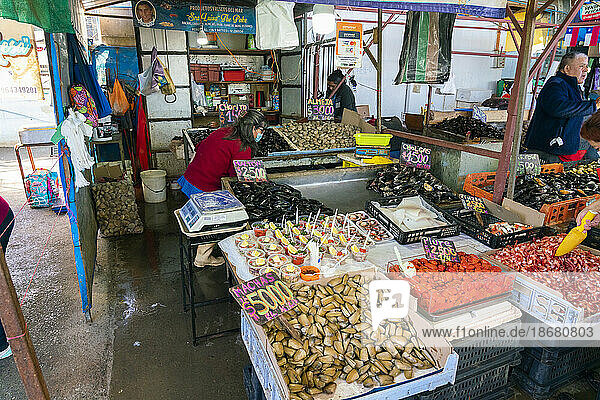 Fresh seafood on display at market  Caleta Portales  Valparaiso  Valparaiso Province  Valparaiso Region  Chile  South America