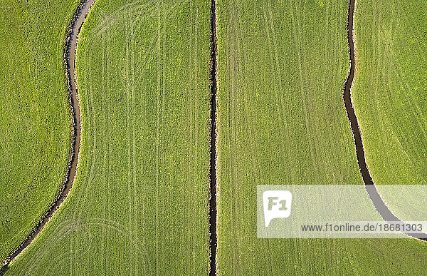 Overhead view of old polder landscape,  Zegvel,  Netherlands