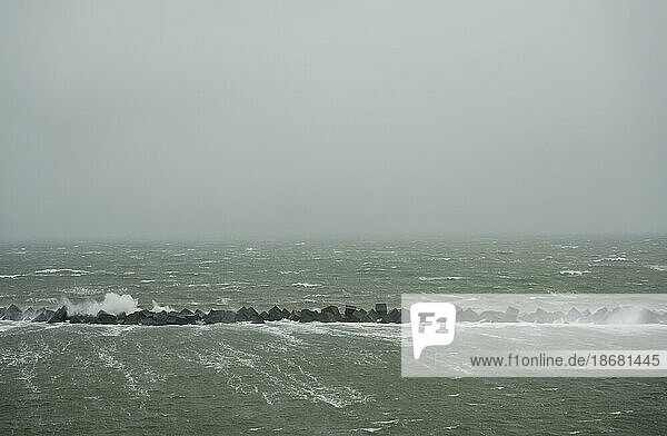 North Sea during storm with snowfall  Rotterdam  Netherlands