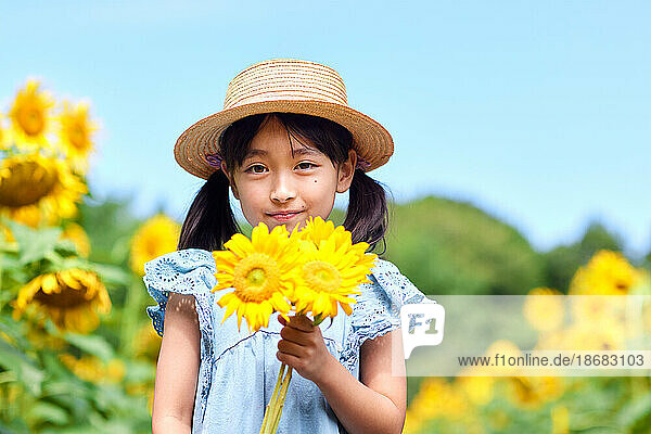 Young Japanese girl at a sunflower field