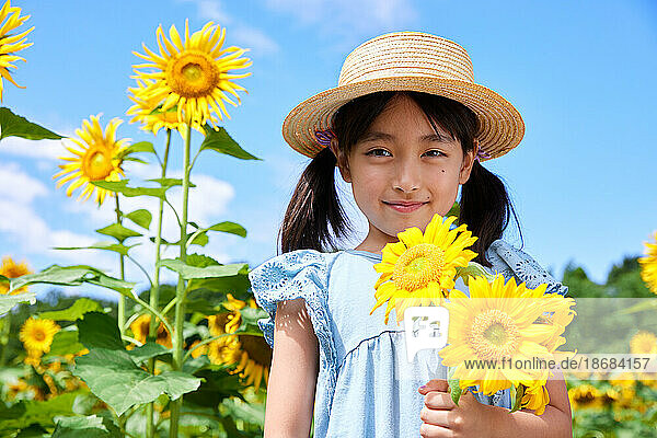 Young Japanese girl at a sunflower field