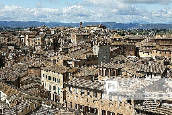 View of the roofs of Siena  Province of Siena  Tuscany  Italy  Europe