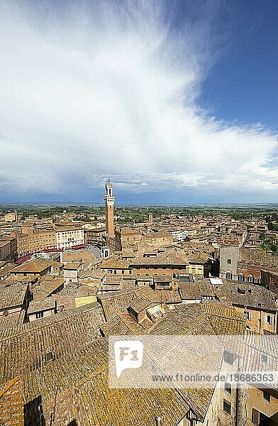 Torre del Mangia and the roofs of Siena  Province of Siena  Tuscany  Italy  Europe