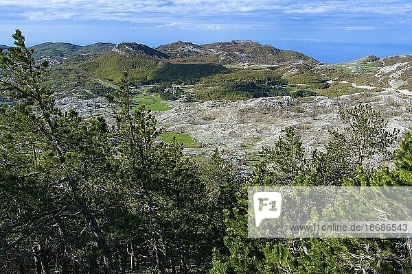 View of Lovcen National Park at 1700 metres  Montenegro  Europe