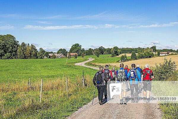 Group of hiking men walking on a curvy dirt road in the countryside a sunny summer day  Sweden  Europe