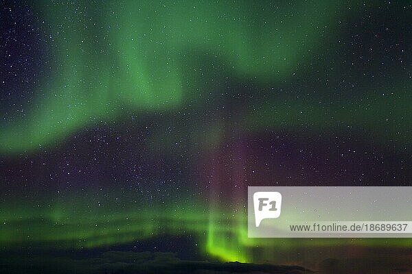Nordlicht  Aurora borealis  spektakuläres Wetterphänomen  das ein natürliches Lichtspiel am nächtlichen Himmel zeigt  Norwegen  Skandinavien  Europa