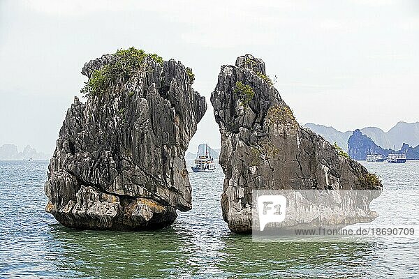 Kissing Chickens Rocks  monolithische Kalksteininseln und Touristenboote in der Ha Long Bay  Halong Bay  Vinh Ha Long  Provinz Quang Ninh  Vietnam  Asien