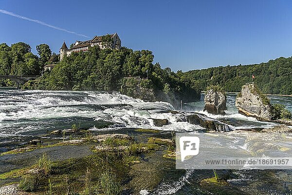 Wasserfall Rheinfall und Schloss Laufen bei Neuhausen am Rheinfall  Schweiz  Europa
