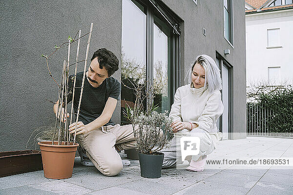 Paar kümmert sich gemeinsam um Pflanzen auf der Terrasse