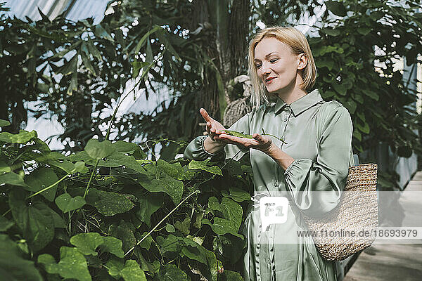 Smiling woman holding and looking at leaf in greenhouse