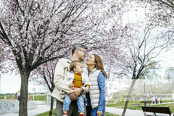 Vater und Mutter mit Sohn stehen unter Kirschblütenbaum