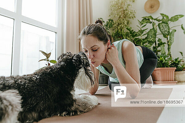 Woman playing with Schnauzer dog on exercise mat at home