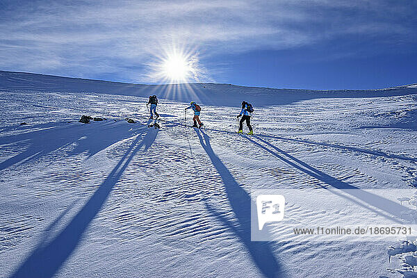 Austria  Tyrol  Sun shining over three skiers traveling through snow in Kitzbuehel Alps