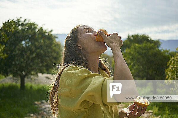 Woman eating fresh juicy orange in orchard