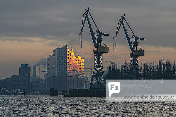 Germany  Hamburg  Cranes of Port of Hamburg at dusk with Elbphilharmonie in background
