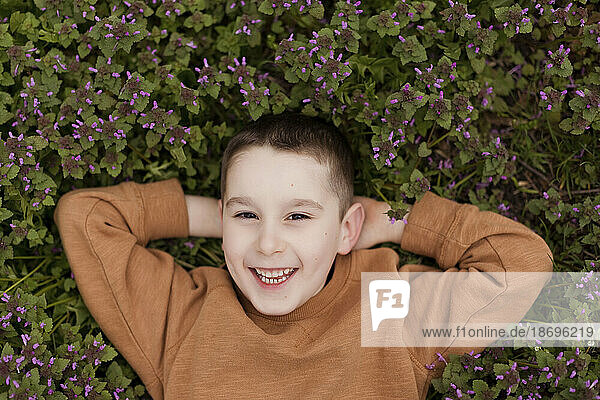 Happy boy with hands behind head lying amidst purple flowers at park