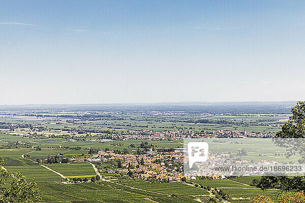 Deutschland, Rheinland-Pfalz, Dörfer umgeben von sommerlichen Weinbergen