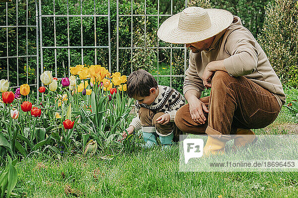 Sohn und Vater kauern neben Tulpenblumen im Garten