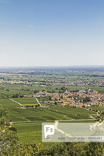 Germany  Rhineland-Palatinate  Villages surrounded by summer vineyards
