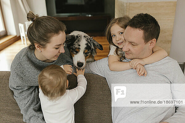 Family playing with Australian Shepherd in living room at home
