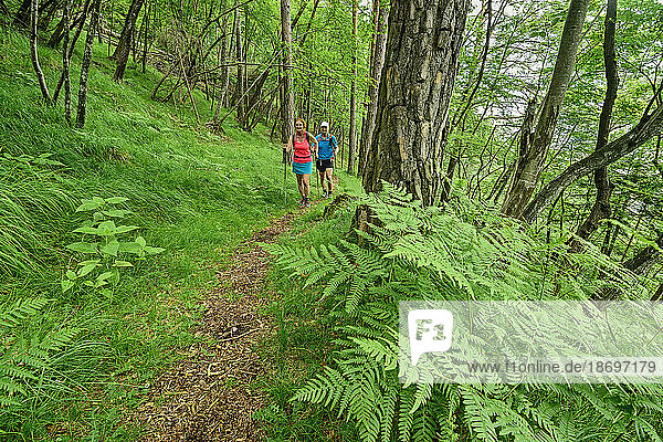 Italien  Provinz Belluno  Wanderpaar auf dem Weg Alta Via Dolomiti Bellunesi durch üppige grüne Wälder